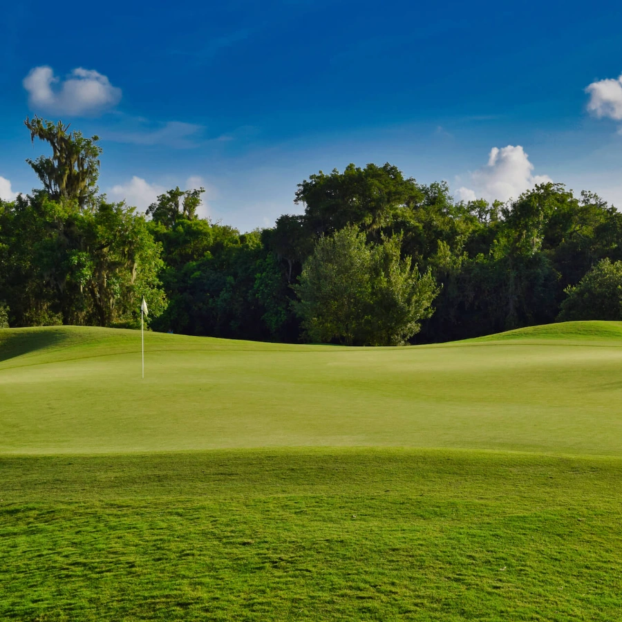 WILDERNESS golf -GREENS